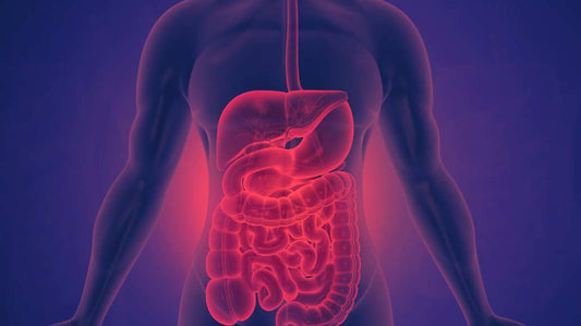 Red Light Therapy for Gut Health