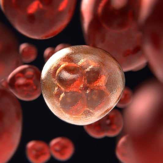 Red Light Therapy - Does it Help or Cause Cancer
