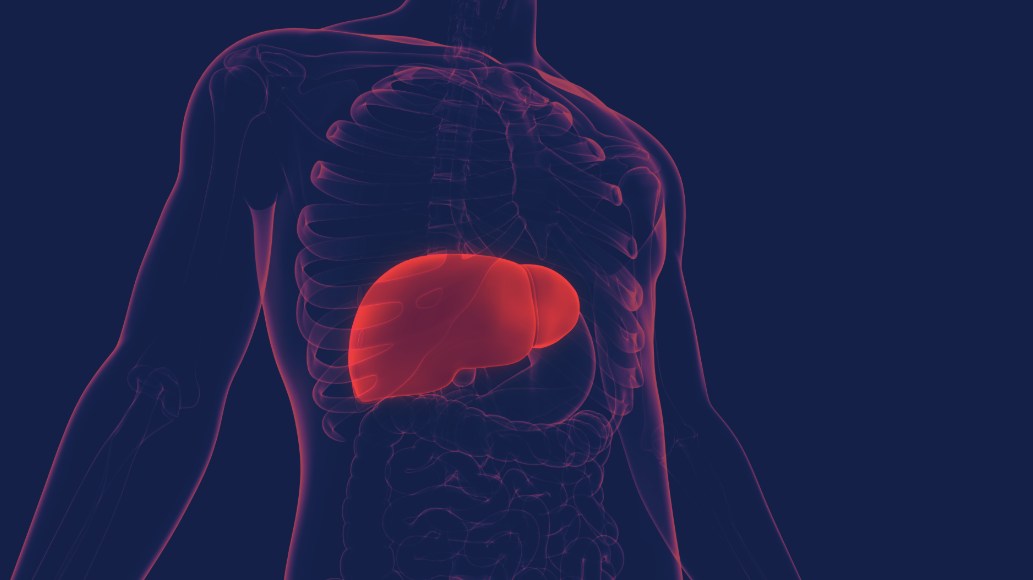 Red Light Therapy for Fatty Liver