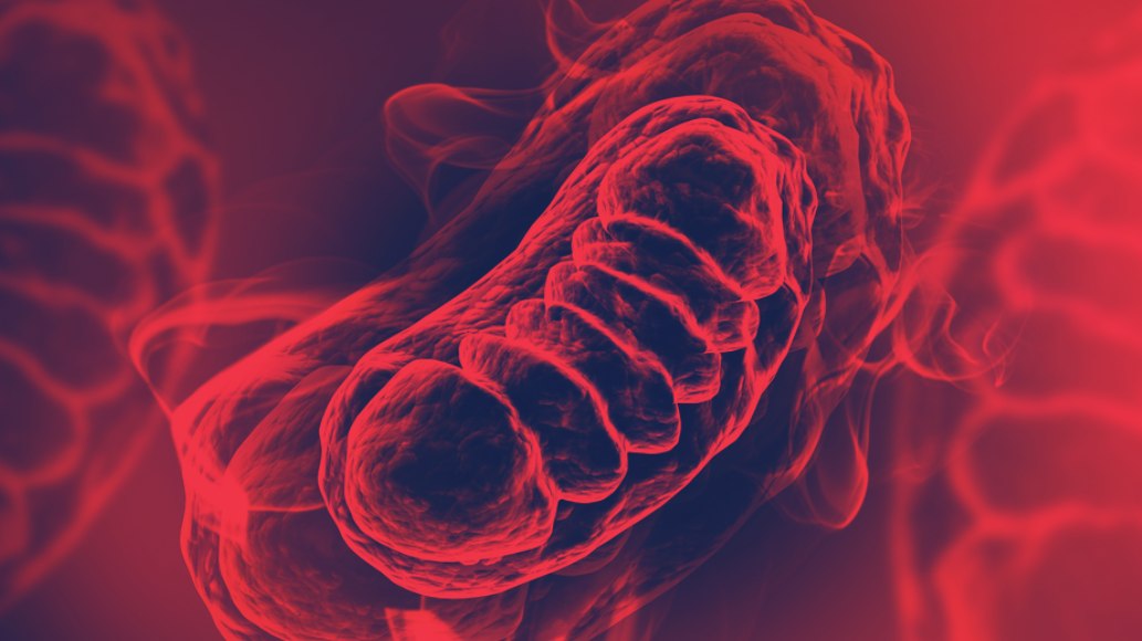 Red Light Therapy for Mitochondria - Powering Up Cellular Energy