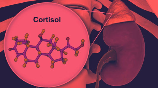 Red Light Therapy for Cortisol - Gentle Hormone Regulation