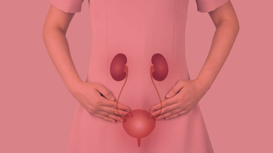 Using Red Light Therapy for Bladder Support