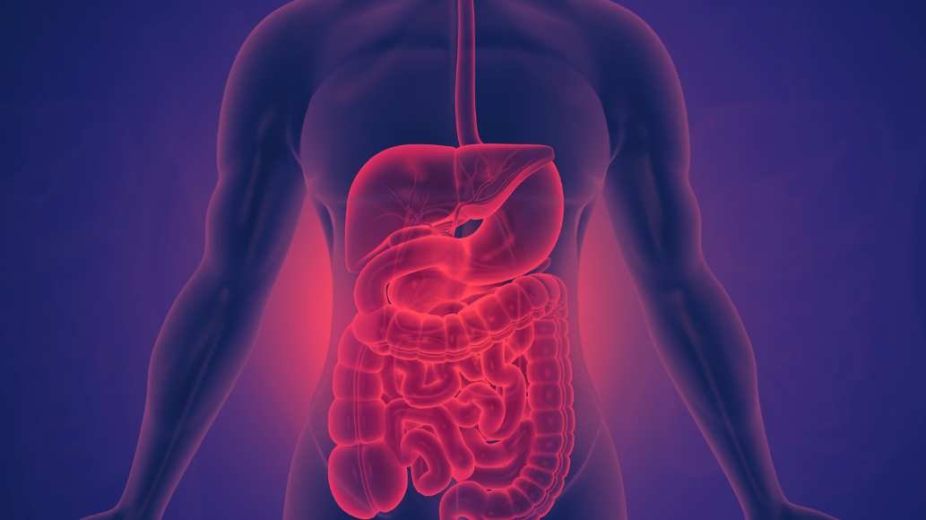 Red Light Therapy for Gut Health