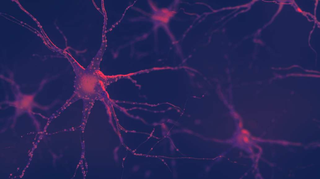 Red Light Therapy for Nerve Regeneration