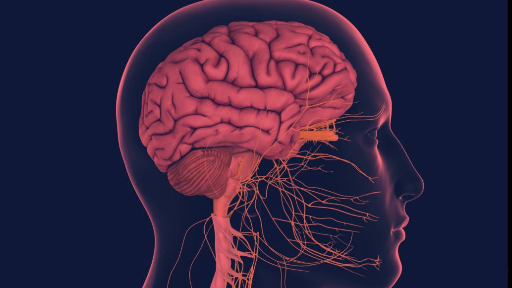 Red Light Therapy for Nervous System 