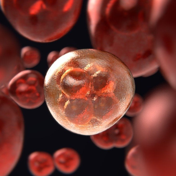 Red Light Therapy - Does it Help or Cause Cancer
