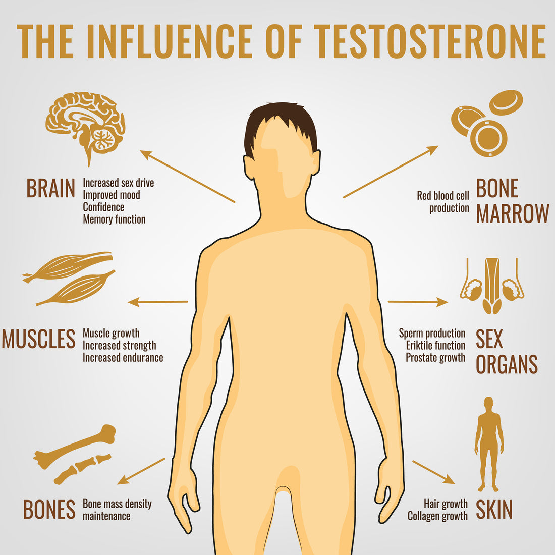 How red light therapy can help your testosterone levels