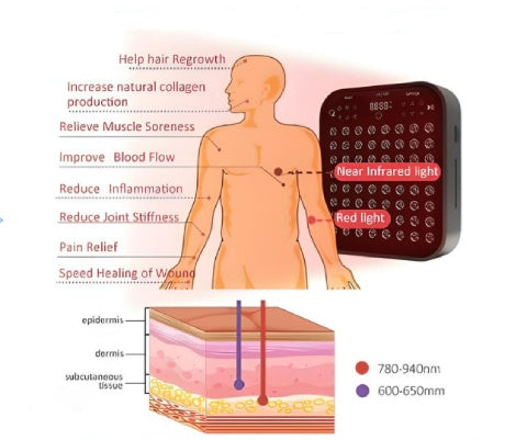 Certified Flicker-Free & <b>EMF Free</b> 