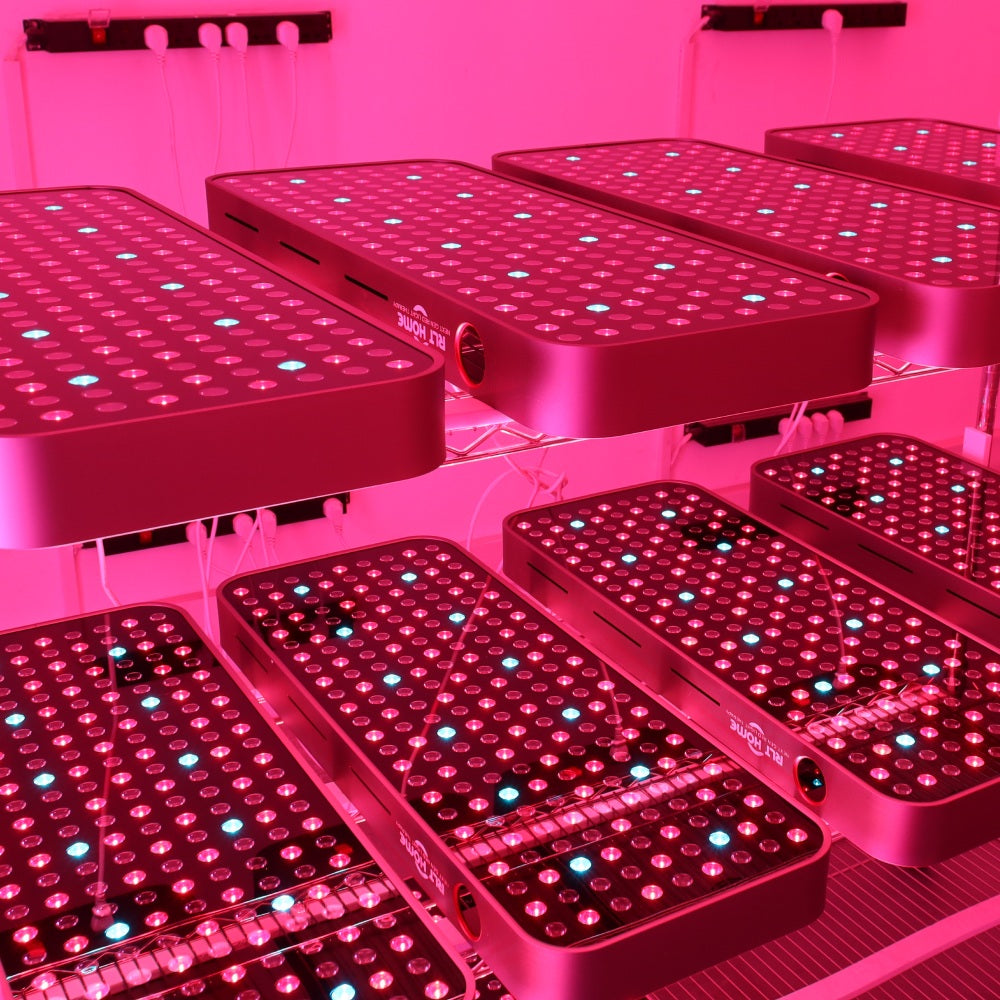 Total Spectrum COMPACT (7 Wave 216 LEDs)